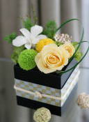 ���i�C���[�W