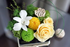 ���i�C���[�W2