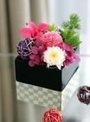 ���i�C���[�W