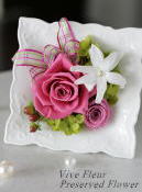 ���i�C���[�W