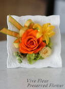 ���i�C���[�W