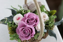 ���i�C���[�W2