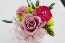 ���i�C���[�W2