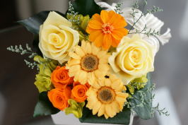 ���i�C���[�W2