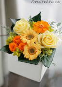 ���i�C���[�W