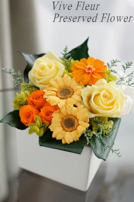 ���i�C���[�W1