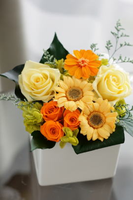 ���i�C���[�W2