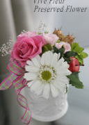 ���i�C���[�W