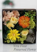 ���i�C���[�W