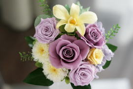 ���i�C���[�W2