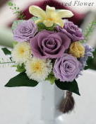 ���i�C���[�W