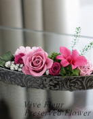 ���i�C���[�W