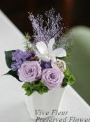 ���i�C���[�W