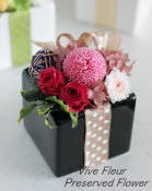 ���i�C���[�W