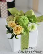 ���i�C���[�W