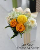 ���i�C���[�W