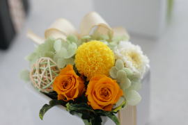 ���i�C���[�W2