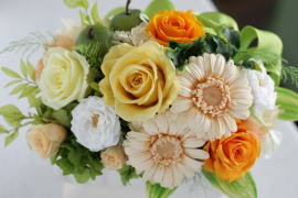 ���i�C���[�W2