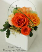 ���i�C���[�W