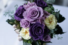 ���i�C���[�W2