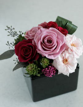 ���i�C���[�W3