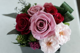 ���i�C���[�W2