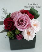 ���i�C���[�W