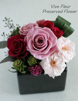 ���i�C���[�W1