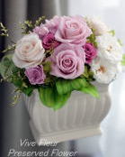 ���i�C���[�W