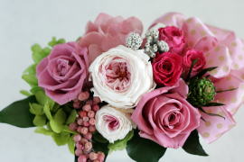 ���i�C���[�W2