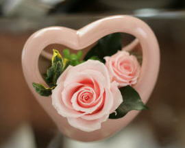 ���i�C���[�W2