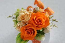 ���i�C���[�W2