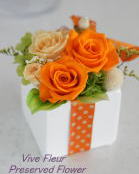 ���i�C���[�W