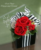 ���i�C���[�W