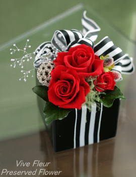 ���i�C���[�W1