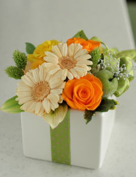 ���i�C���[�W3