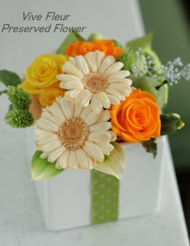 ���i�C���[�W1