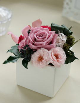 ���i�C���[�W2