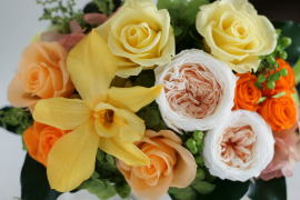 ���i�C���[�W2