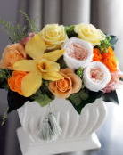 ���i�C���[�W