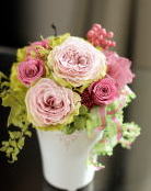 ���i�C���[�W