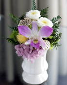 ���i�C���[�W