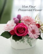 ���i�C���[�W