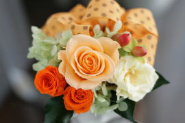 ���i�C���[�W2