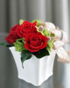 ���i�C���[�W