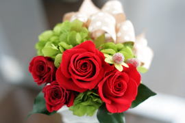 ���i�C���[�W2