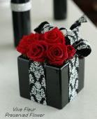 ���i�C���[�W