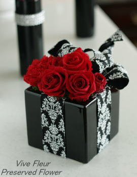 ���i�C���[�W1