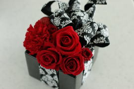 ���i�C���[�W2