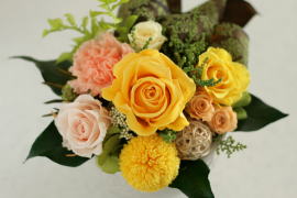 ���i�C���[�W2